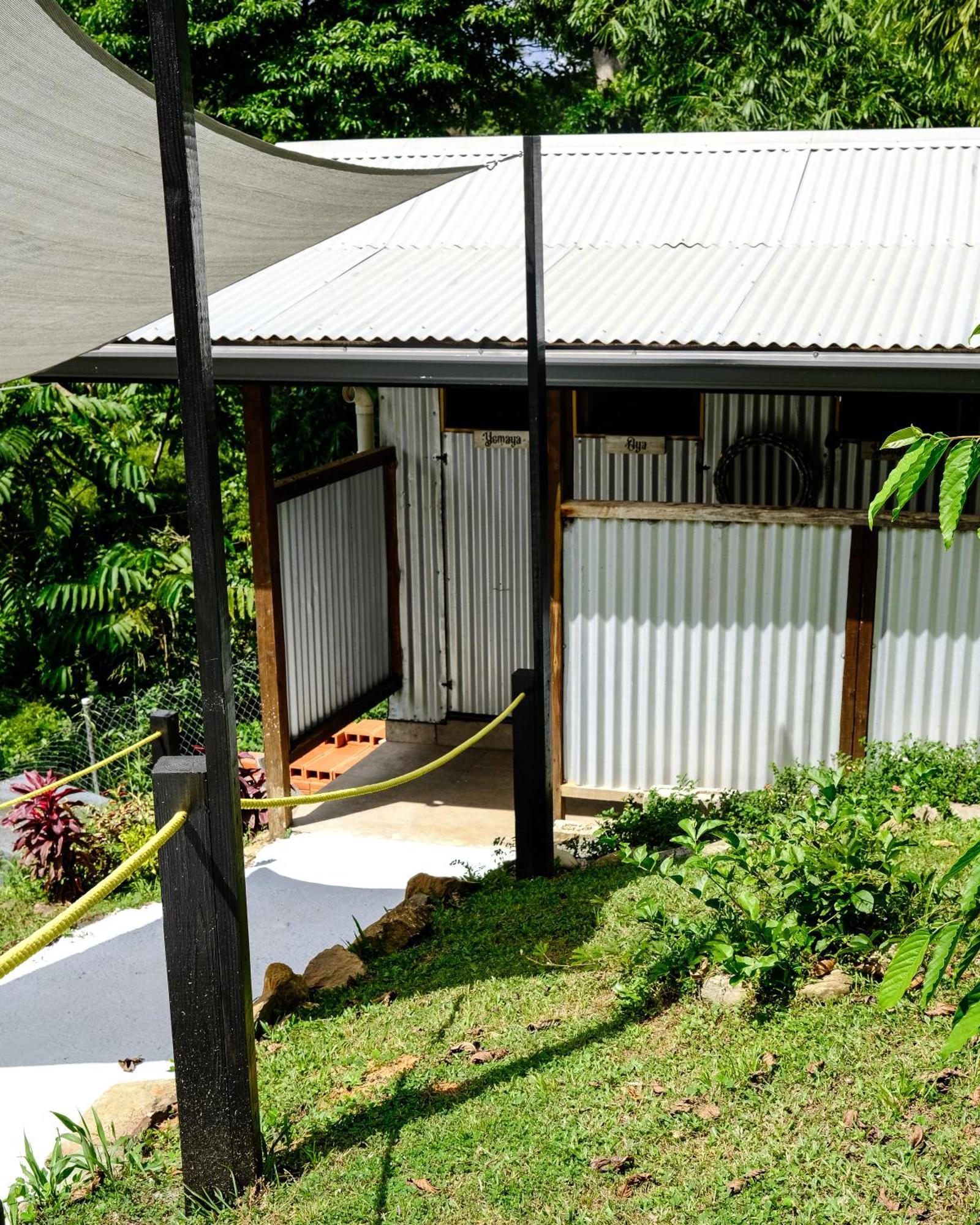 Silk Cotton Cottages Parrot Hall Buitenkant foto