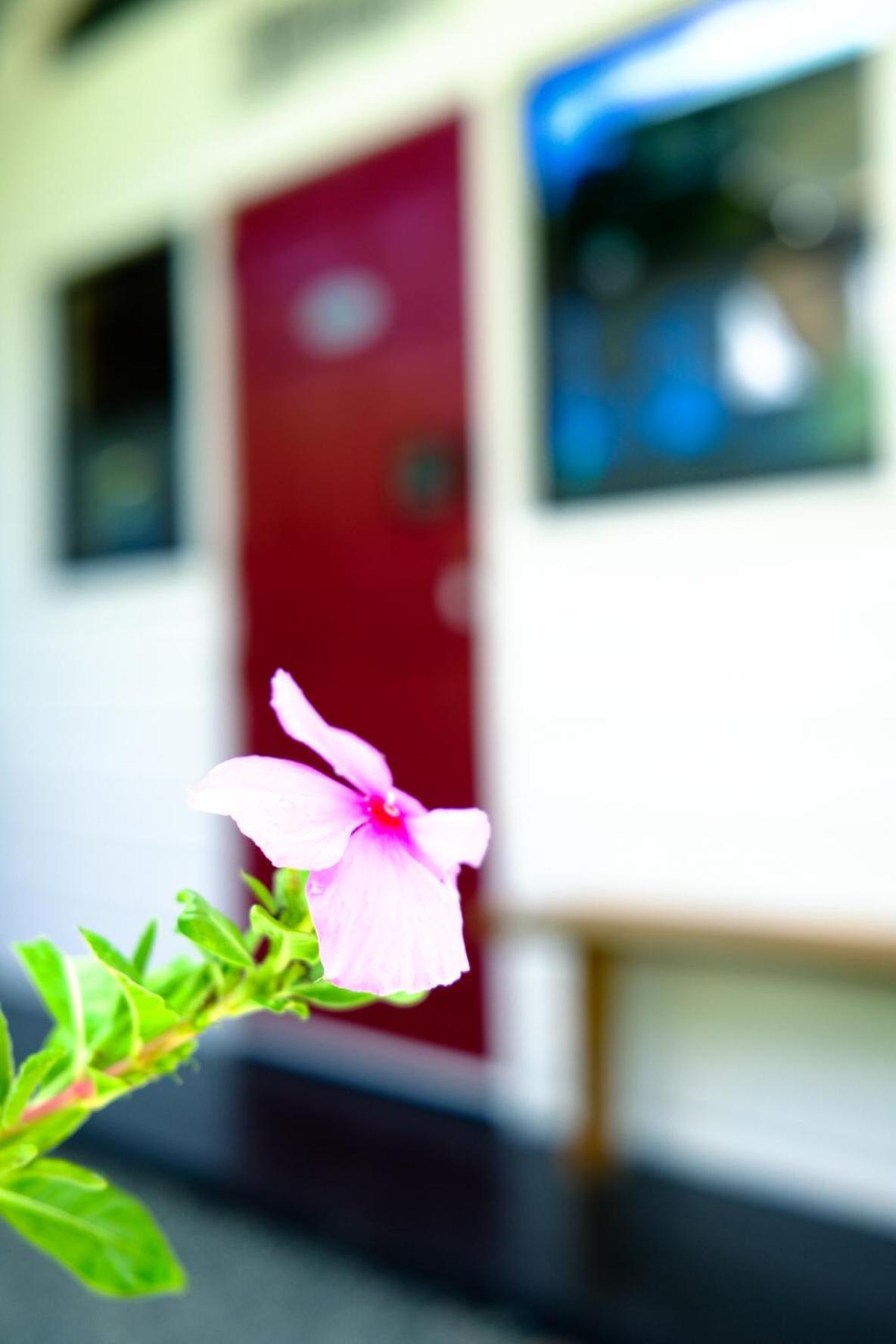 Silk Cotton Cottages Parrot Hall Buitenkant foto